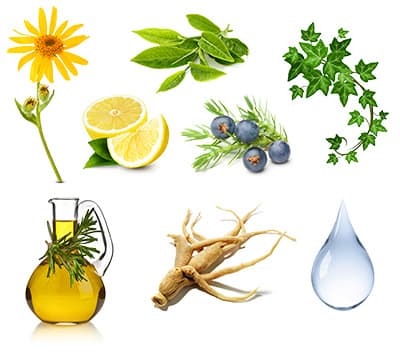 ensemble de plantes eau et huile d'olive citron sur un fond blanc
