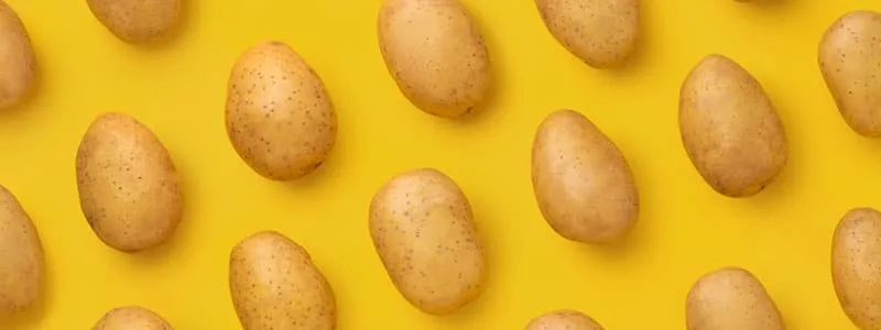 nombre de pommes de terre à représenter réduire votre paragraphe sur la consommation de glucides