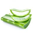 image de l'aloe vera utilisé pour le nettoyage en profondeur du corps