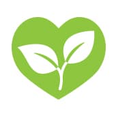 coeur de dessin animé avec une plante à l'intérieur pour montrer l'effet de désintoxication