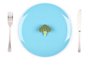 brocoli seul dans une assiette bleu entouré de couverts brocoli seul dans une assiette bleu entouré de couverts