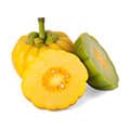 Garcinia Cambogia fruits entiers et morceaux de fruits sur fond blanc