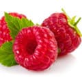 image de framboises pour représenter les cétones de framboises image de framboises pour représenter les cétones de framboises