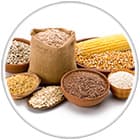 logo mélange de céréales et graines alimentaire naturelles