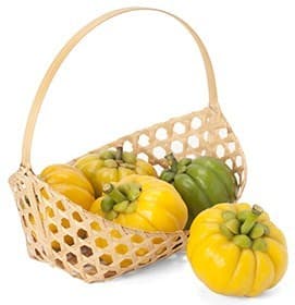 plusieurs fruits de garcinia cambogia dans un panier en bois sur un fond blanc plusieurs fruits de garcinia cambogia dans un panier en bois sur un fond blanc