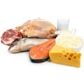 mélange d'aliments riche en graisse et en protéines mélange d'aliments riche en graisse et en protéines