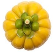 fruit garcinia cambogia jaune sur un fond blanc - WeightWorld