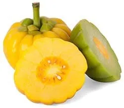 Image de Garcinia Cambogia Fruit pour montrer qu'il est un ingrédient de la cétone de framboise plus