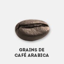grains de café arabica marron sur un fond blanc - WeightWorld