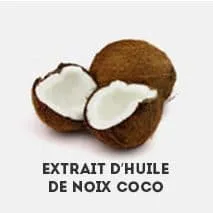 noix de coco découpées pour en récupérer de l'extrait