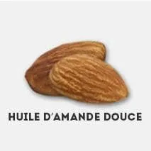 deux amande représentant l'huile d'amande douce - WeightWorld