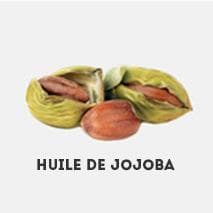 trois noix de jojoba représentant l'huile de jojoba  sur un fond blanc