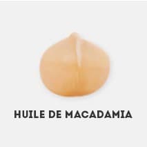 cosse de macadamia représentant l'huile de macadamia sur un fond blanc