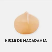 cosse de macadamia représentant l'huile de macadamia sur un fond blanc