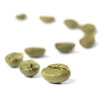 plusieurs grains de café vert à la suite sur un fond blanc