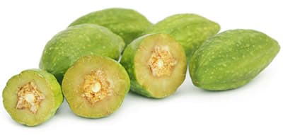 Le fruit haritaki vert et oblong également appelé fruit Terminalia Chebula Le fruit haritaki vert et oblong également appelé fruit Terminalia Chebula
