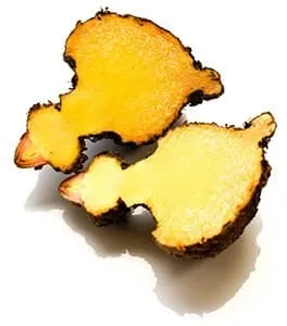 fruit de konjac glucomannane coupé en deux sur un fond blanc