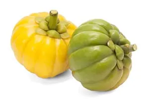 deux fruits garcinia cambogia jaune et vert reposant l'un sur l'autre sur un fond blanc