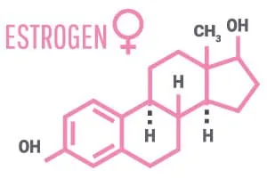 image de la structure chimique de l'œstrogène pour montrer comment la ménopause peut affecter la perte de poids