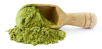 melande de poudre de moringa en vrac dans une cuillere en bois