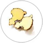 logo fruit du glucomananne ou konjac coupé en deux morceaux