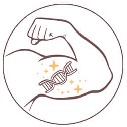 image d'un personnage effectuant une flexion du biceps avec un adn dessiné sur le bras