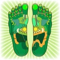 dessin avec paie de pieds verts et leurs differentes zones