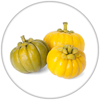 garcinia cambogia