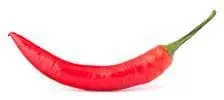 long piment rouge et vert sur un fond blanc posé - WeightWorld