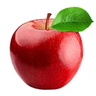 logo de pomme rouge coupée en deux parties - fruit bien-être