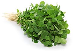 image de fenugrec également connu sous le nom de Methi à partir d'une plante de fenugrec image de fenugrec également connu sous le nom de Methi à partir d'une plante de fenugrec
