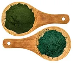deux cuilleres en bois remplies de poudre d'algues
