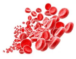 nombreux globules rouges sur un fond blanc - WeightWorld