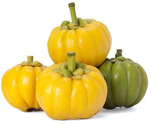 plusieurs fruits garcinia cambogia jaune et vert sur un fond blanc
