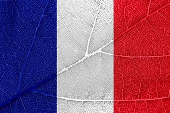 drapeau bleu blanc rouge france sur une feuille - WeightWorld drapeau bleu blanc rouge france sur une feuille - WeightWorld