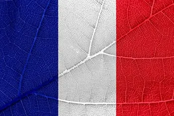 drapeau bleu blanc rouge france sur une feuille - WeightWorld