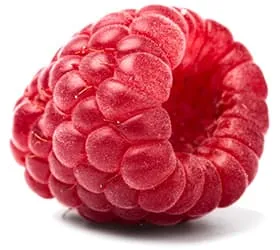 framboise rouge en gros plan sur un fond blanc - WeightWorld