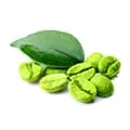 photo de grains de café vert ton sur ton framboise plus