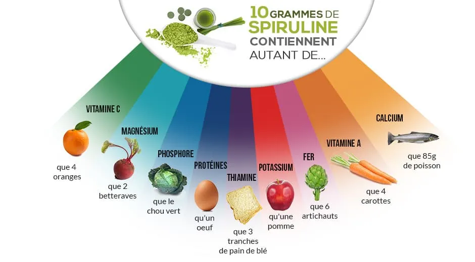 infographie sur la spiruline présentant les différents équivalents