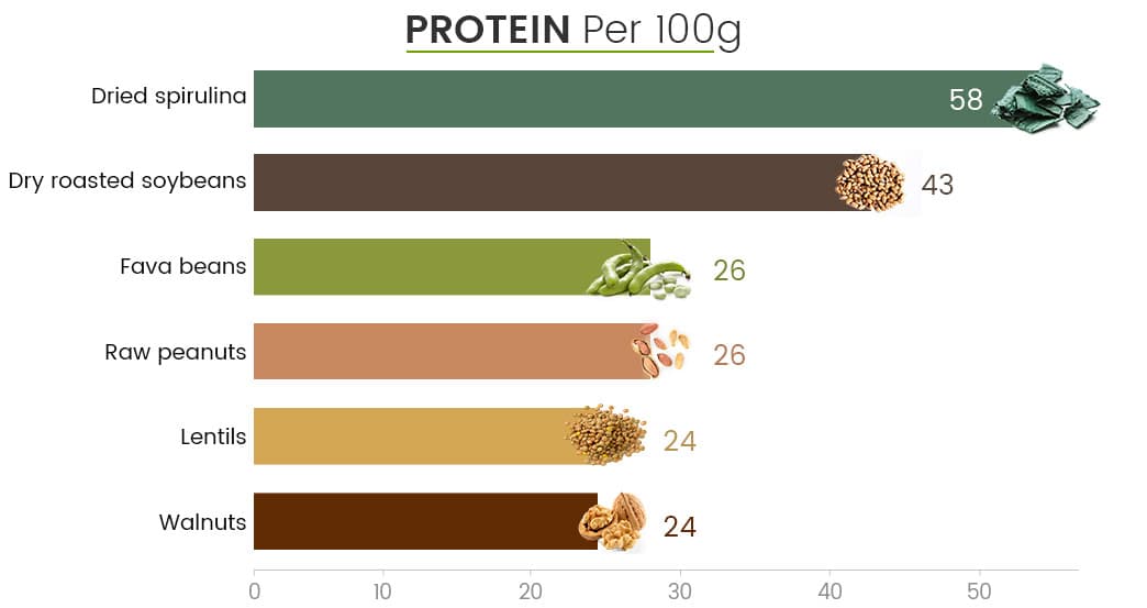 infographie montrant les équivalents en protéine de la spiruline bio