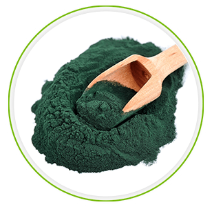 poudre de bio super spirulina en vrac sur un fond blanc