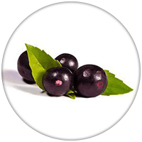 baies d'acai