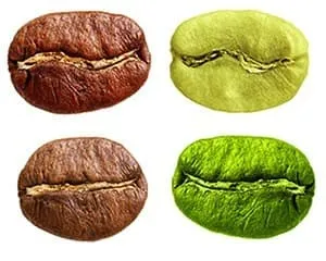 quatre grains de café de toutes les couleurs sur un fond blanc