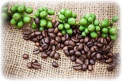 grains de café vert et marron posées sur un sac en tissu