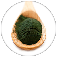 spirulina