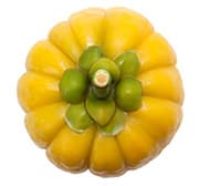fruit du garcinia cambogia jaune vu de dessus - weightworld