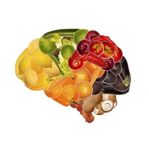 mélange de fruits et légumes représentant un cerveau humain sur fond blanc