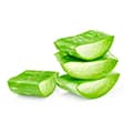 Aloe Vera Aloe Vera