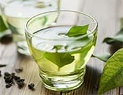 Le thé vert