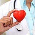 Supports the heart and cholesterol levels Supports the heart and cholesterol levels